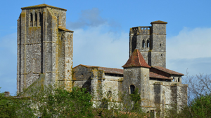 Lutte contre les nuisibles Saint-Pierre